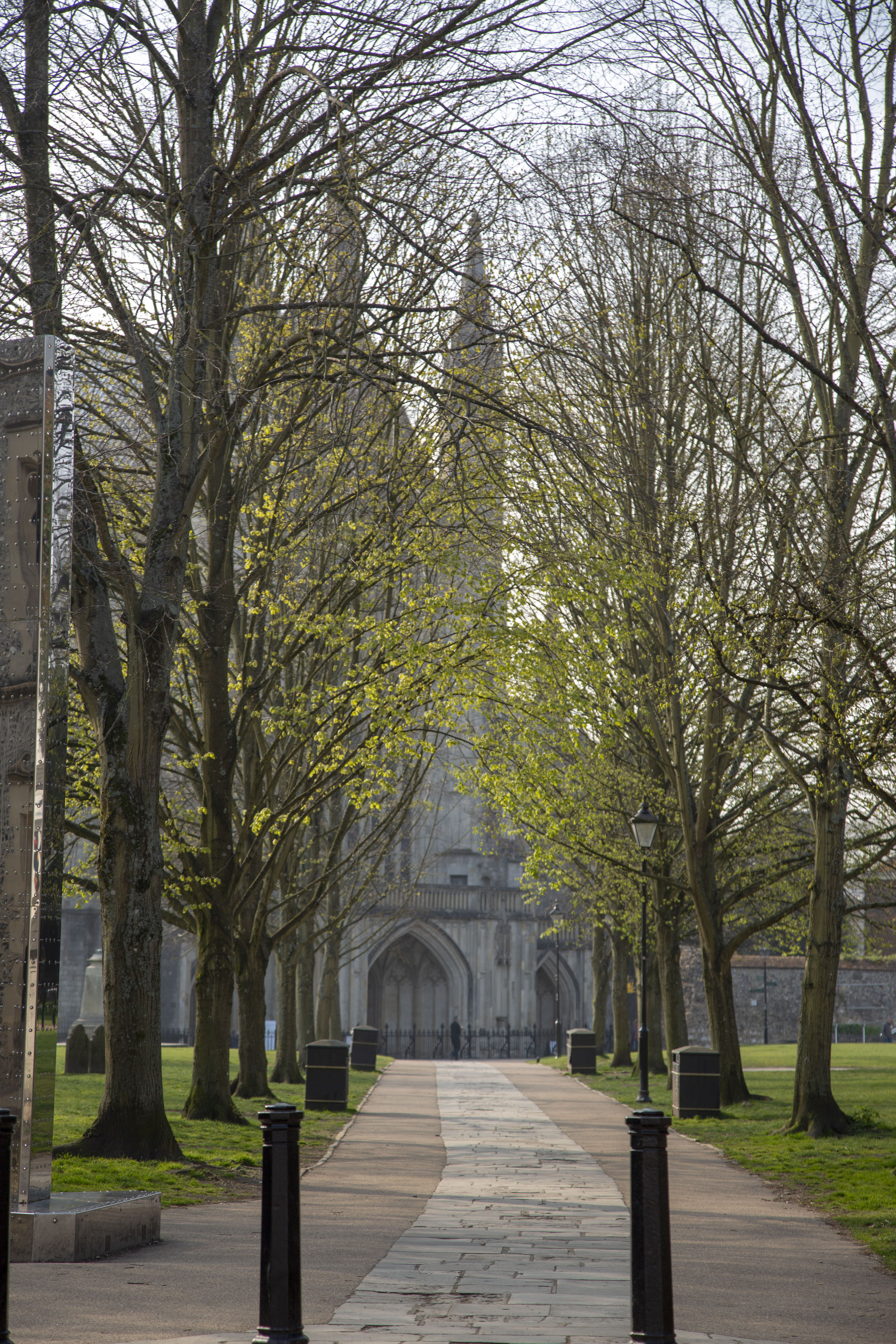 Focus on a cobbled path lined with blossoming trees, leading up to Winchester Cathedral