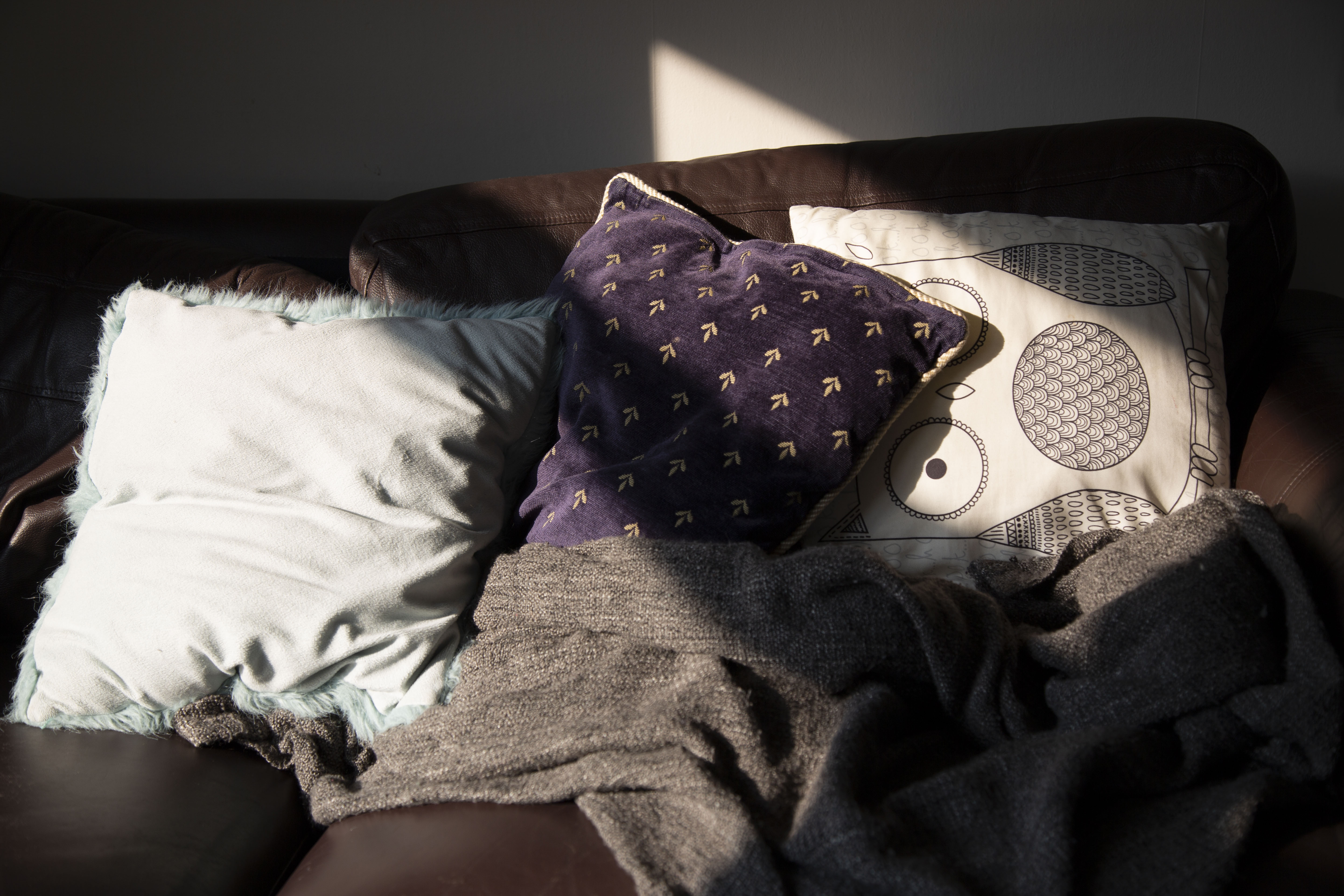 A picture of the sun hitting blue and white pillows on Rose's brown sofa.