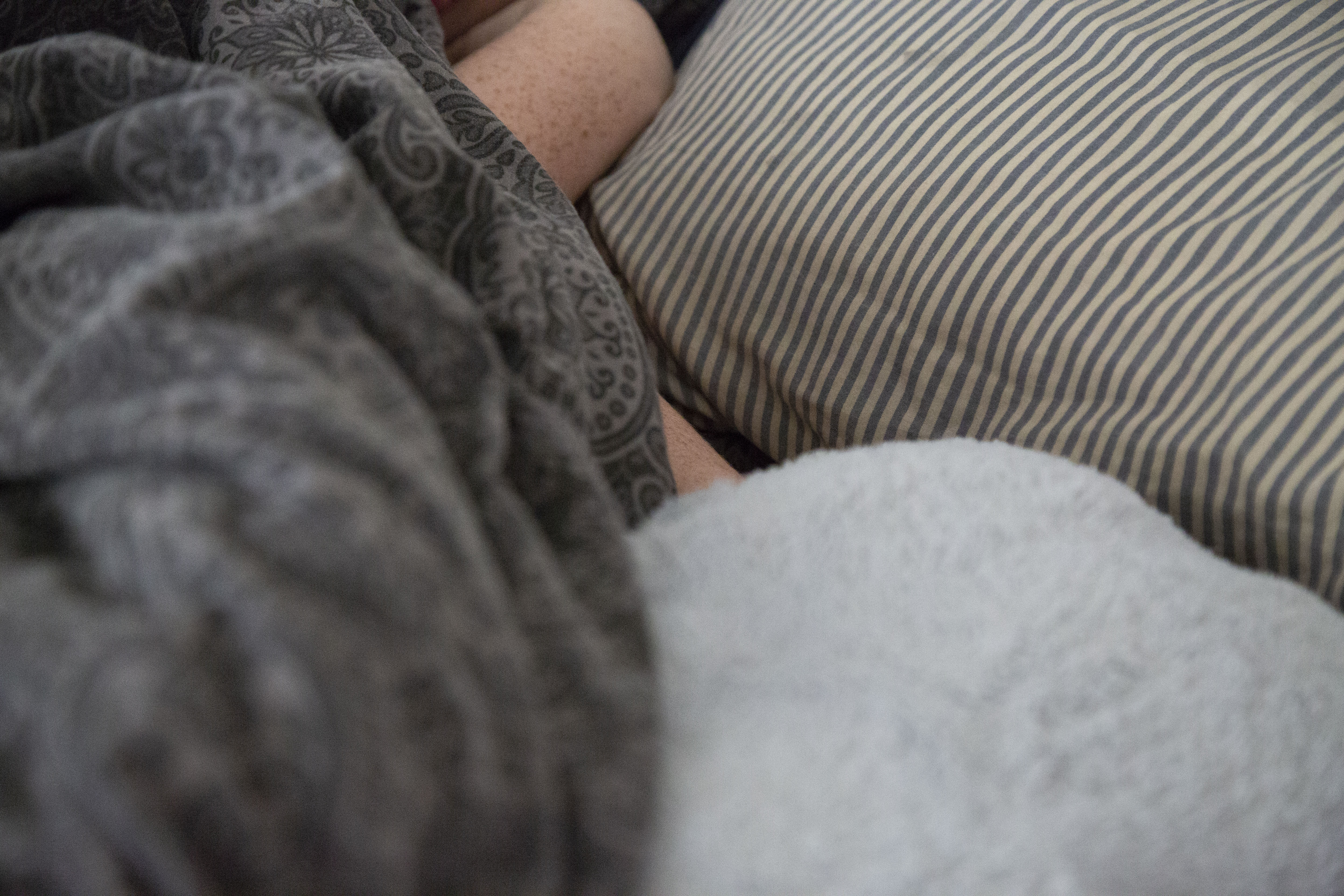 A snapshot of Rosie's sleeping area, including the black and grey duvet, blue and white striped pillow, blue cushion, and Rory's arm