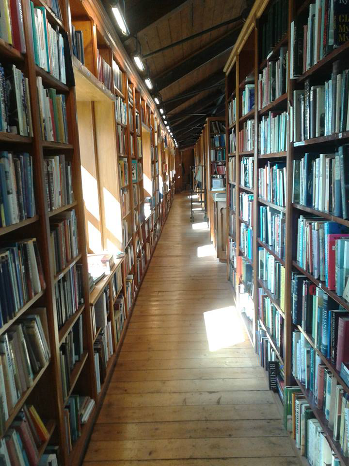 Sun dappled halls of a book shop