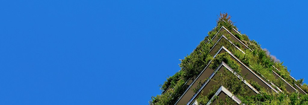 Five Things You Can Do To Live More Sustainably! | rosie abigail