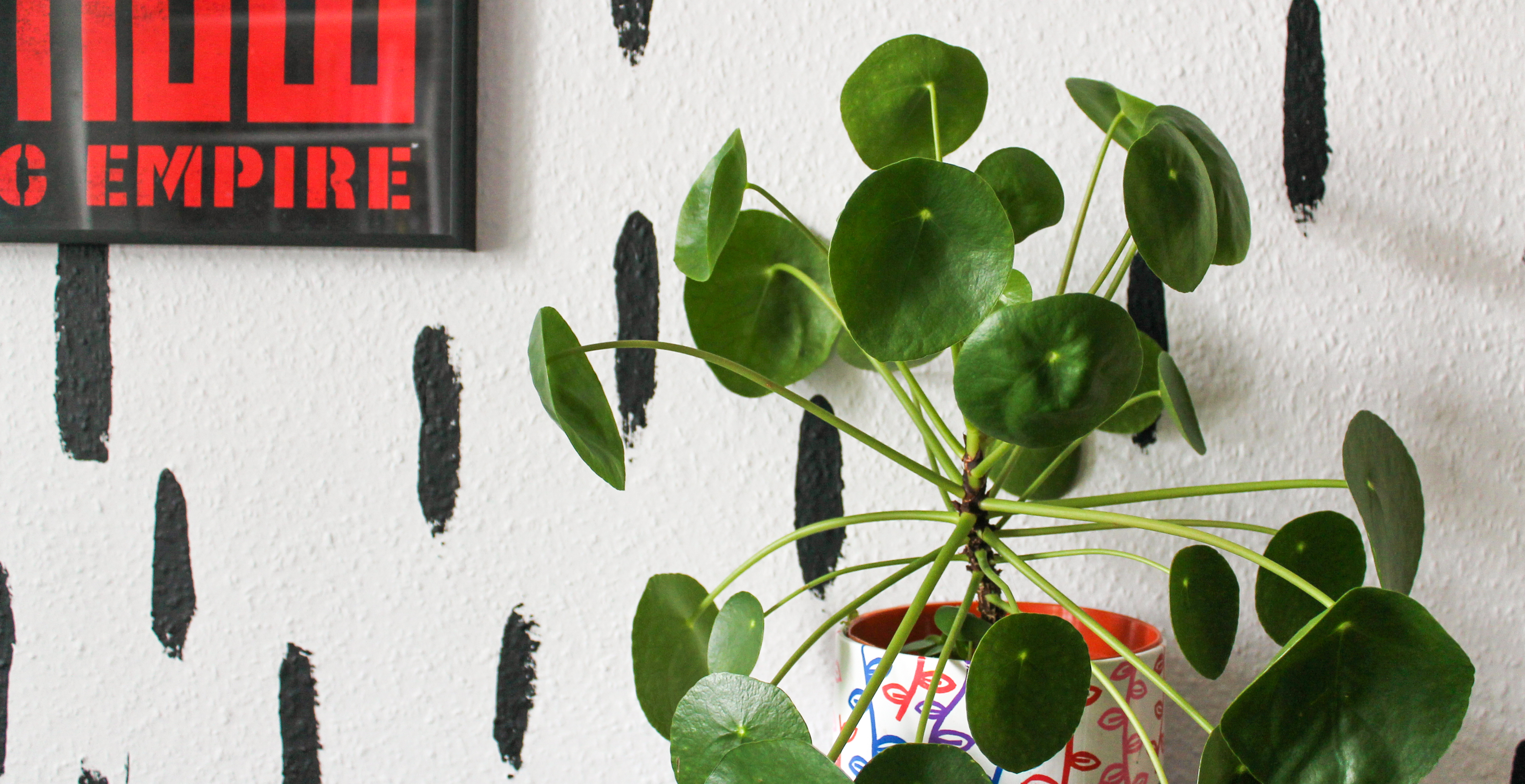 Pilea in a white pot decorated with leaves. Pilea is a green plant with circular leaves. Backdrop is a black and white mural, with a red and black picture to the left.