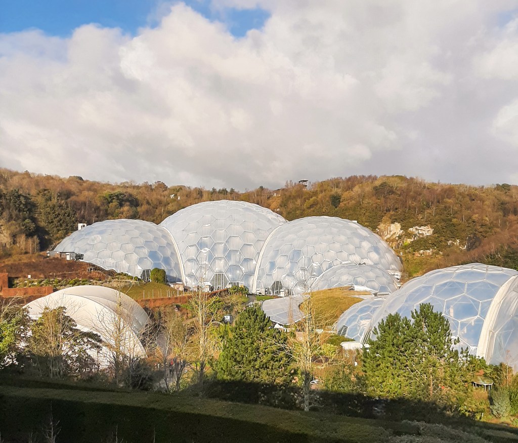 The white biomes of the Eden Project set against orange and green trees.