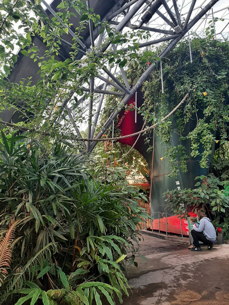 Green ferns on the left side up the picture, with green ivy climbing a grey structure. The front of a large boat is to the right of the image, also covered in green tropical plants.