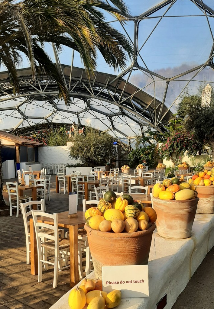 Terracotta pots full of yellow and orange citrus fruits line a low white wall. Beyond the wall are wooden tables and white wooden chairs. Hexagonal clear roof tiles of the Eden Project are overhead, with palm leaves and other greenery peeking at the sides of the image.