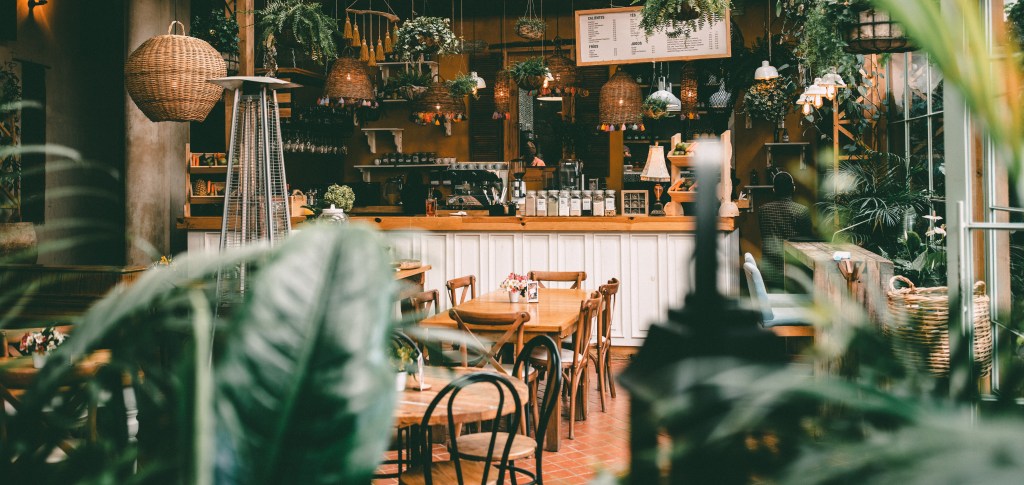 January Favourites 2022 | Books, Style, Home DIY, and More…