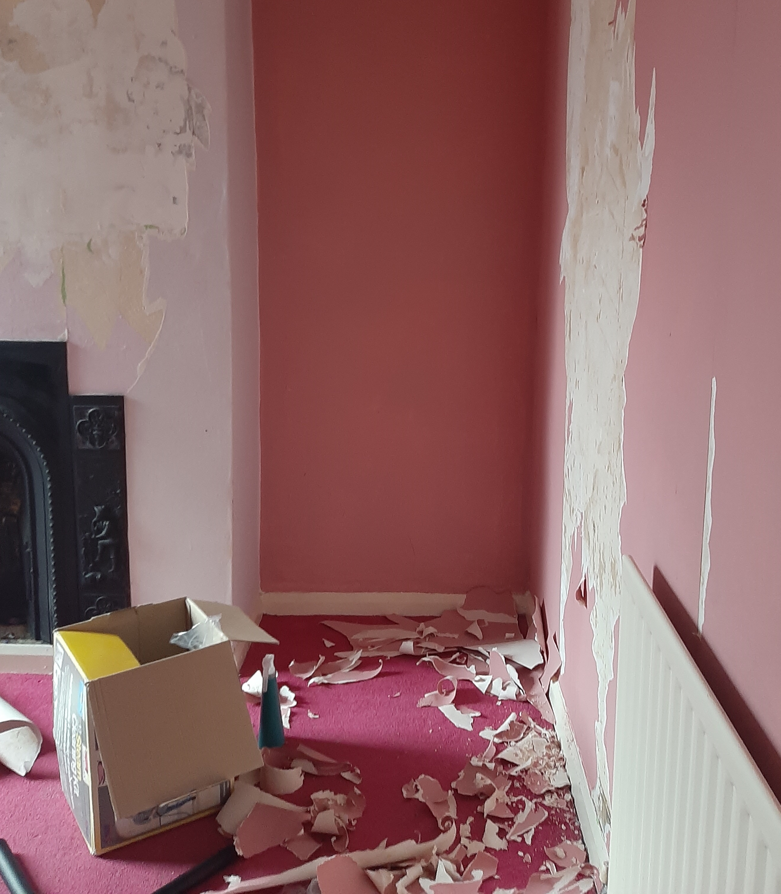 An image of the spare room. The walls and floor are pink, and paint is peeling off the walls.