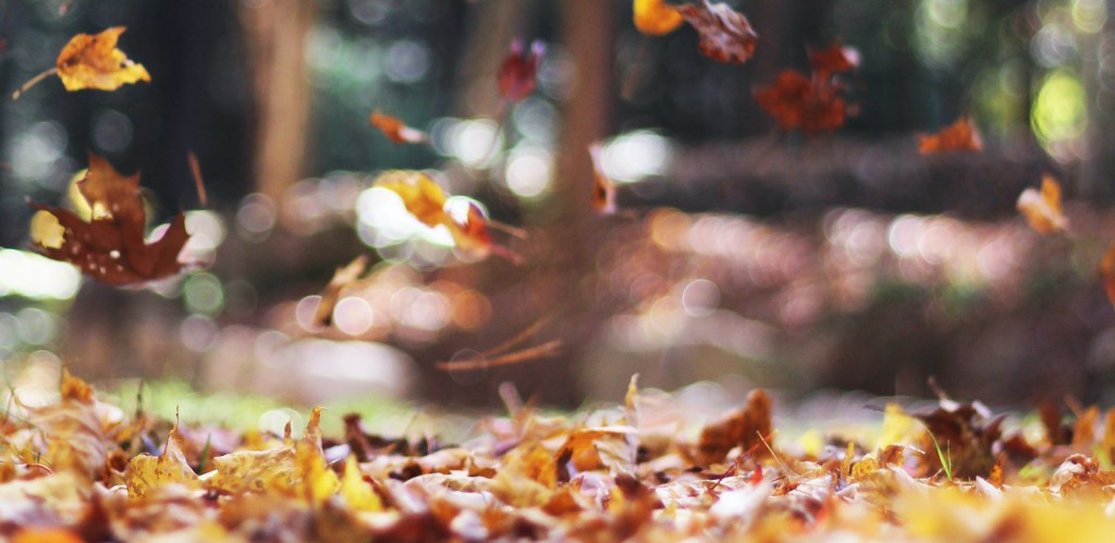 Hot Girl Autumn. No, Literally –  The Planet is Overheating | Rosie&nbsp;Abigail