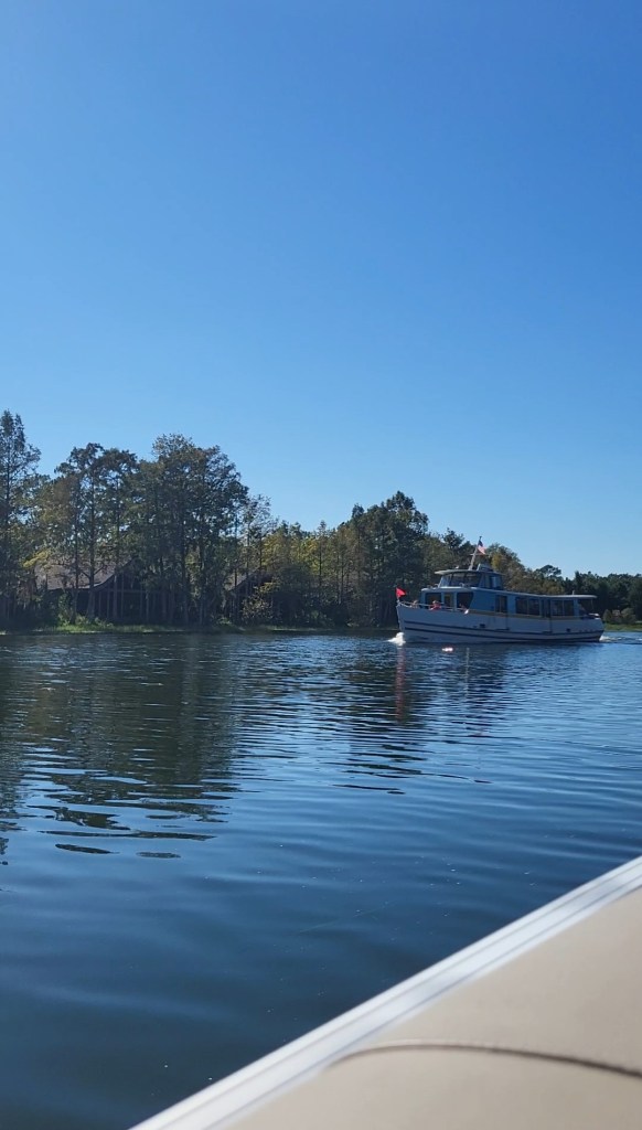An image of a blue lake, with green tall trees in the background. On the lake drives a blue and white passenger boat.