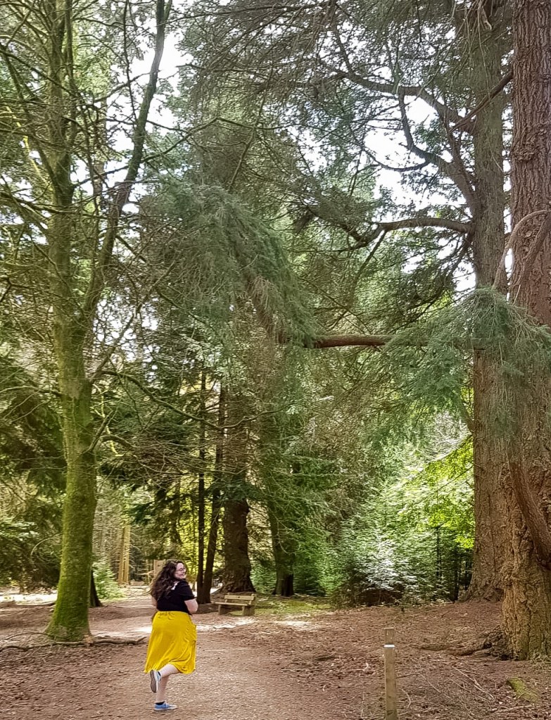 Green trees growing high into the air. Below them, in a path littered with sticks. Rosie is standing on this path wearing a yellow skirt and black top. She is mid-spin. Rosie is a white woman with long brown hair and glasses.