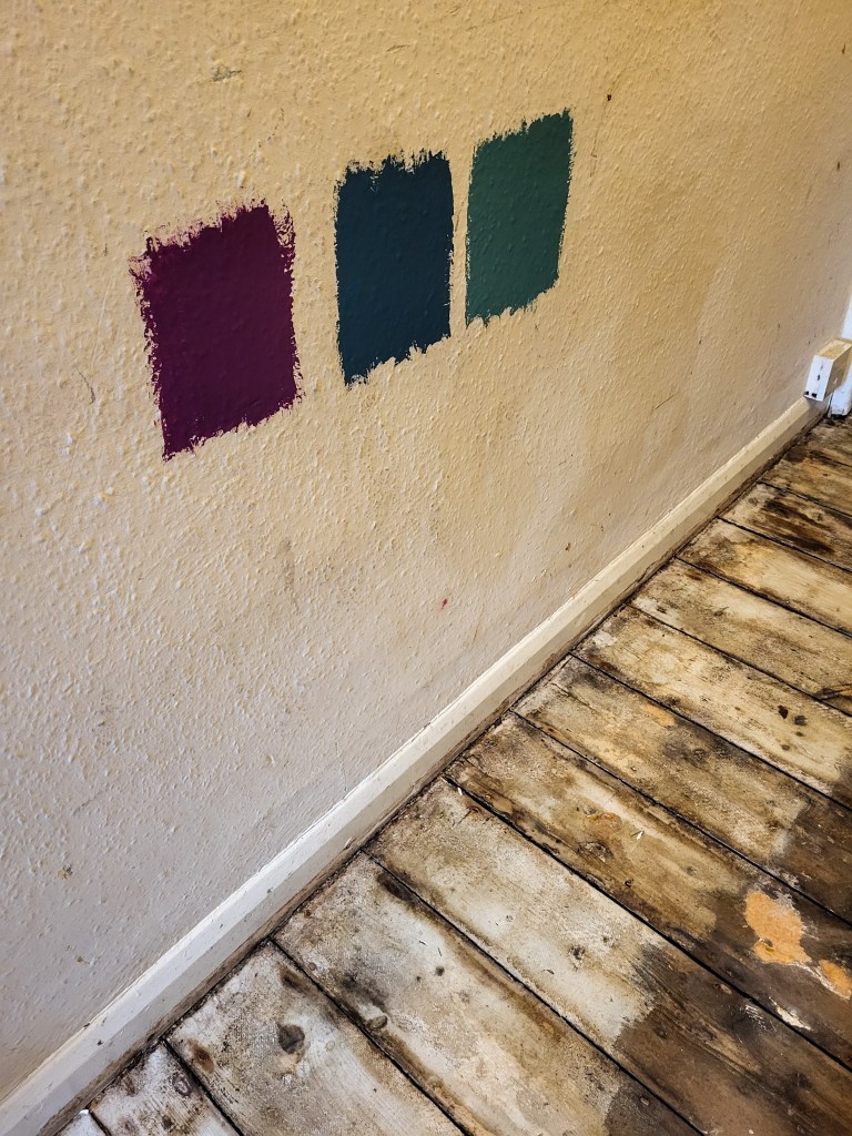 An off-white, dirty, wood chip wall, with a skirting board, above old wooden floorboards. There are three swatches of paint on the wall - purple, navy and teal.