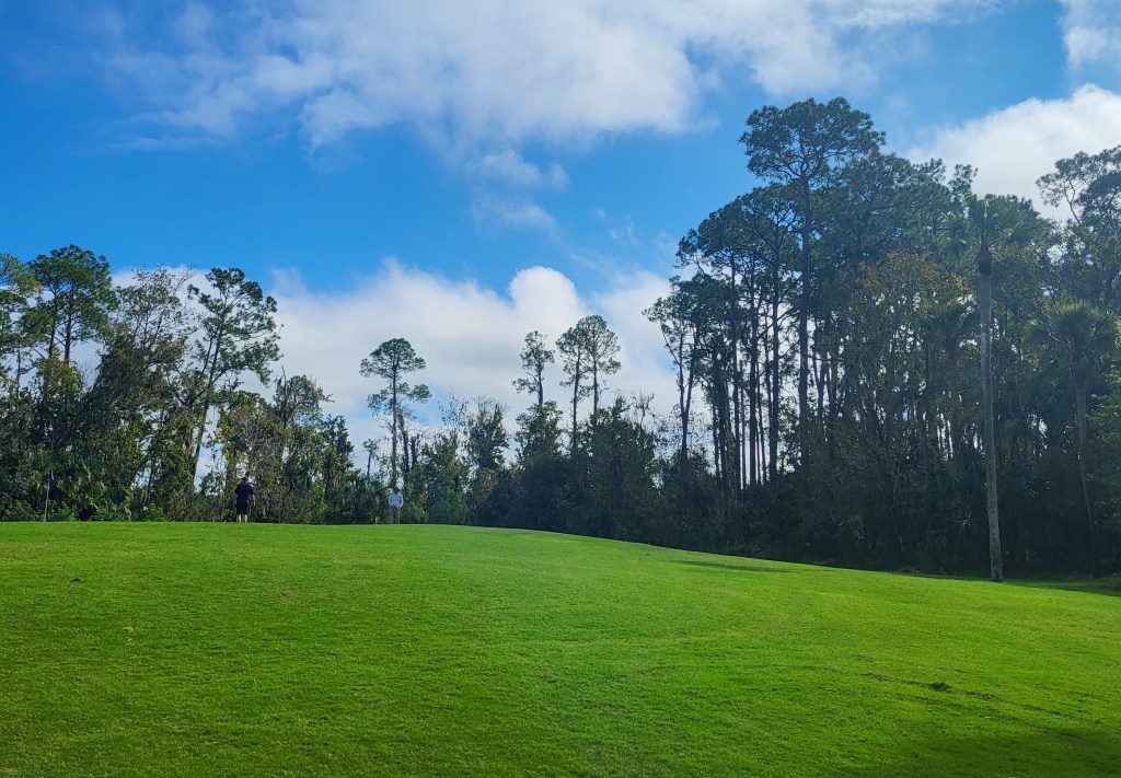 Rolling green hills of a golf course, surrounded by palm and Floridian trees. The sky is blue with white clouds, and there are two people stood on the green. 