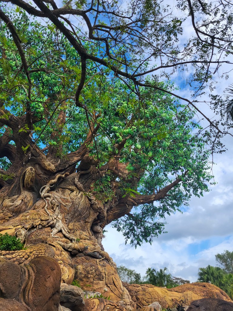 The brown trunk and green leaves of the Tree of Life. Behind it is blue skies.