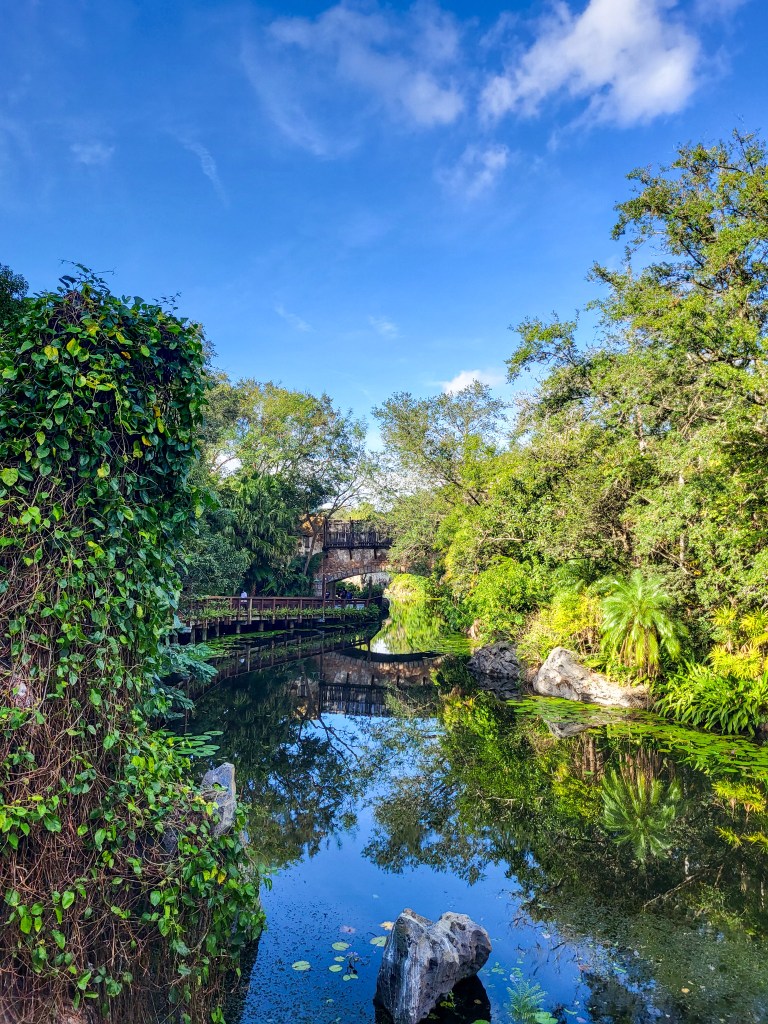 Green foliage surrounding a glass-like river. The river reflects the blue skies and the foliage.