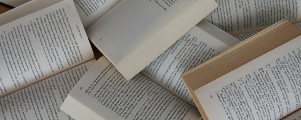 Required Reading from an English Grad | Rosie Abigail