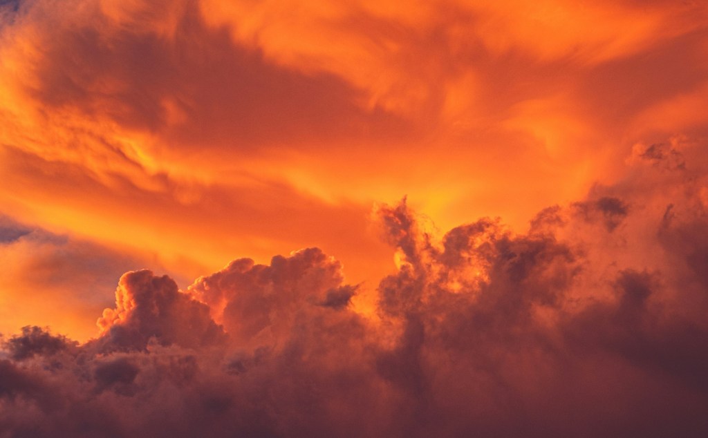 Word of the Year? Authenticity | Rosie Abigail